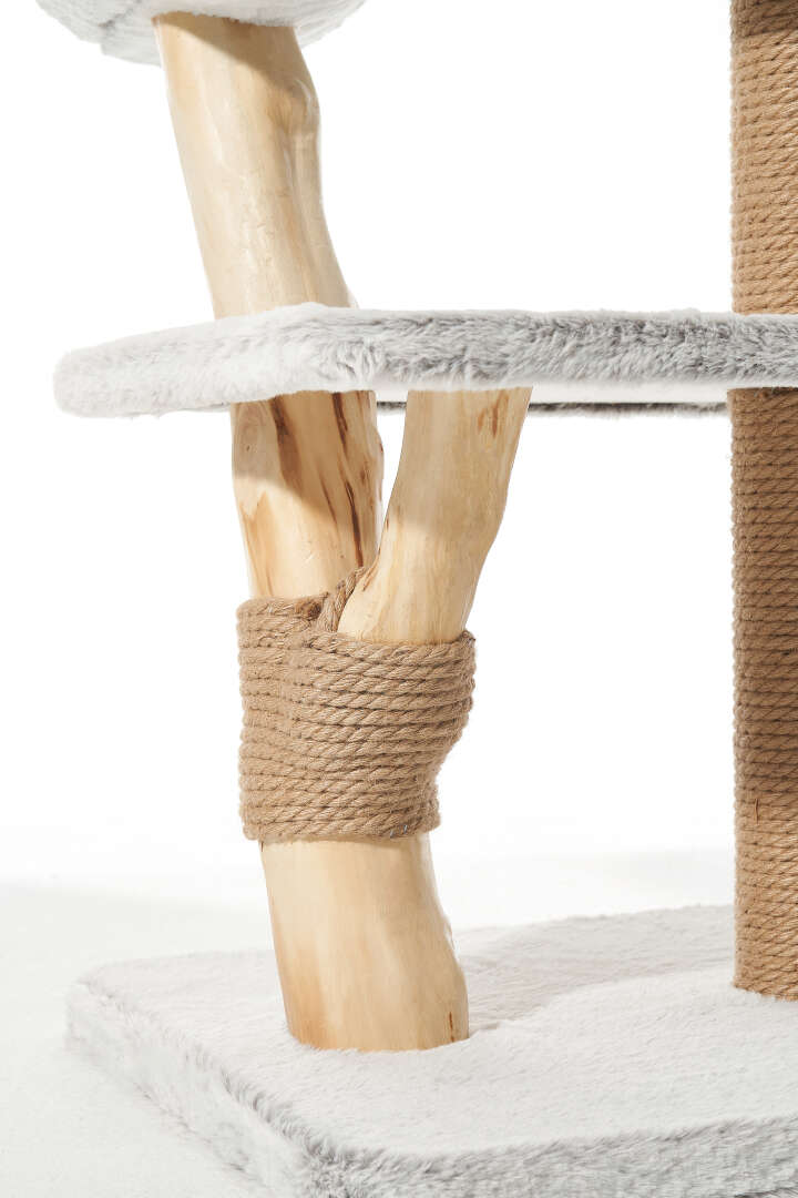 Nobby Kratzbaum Runa